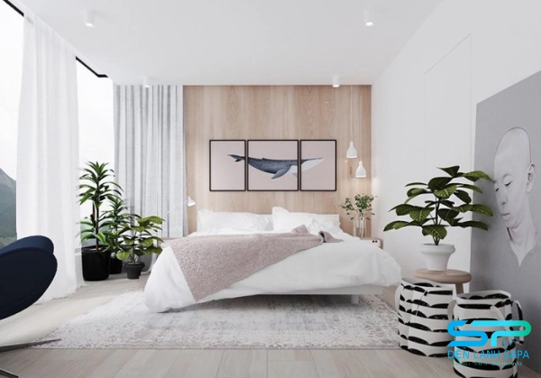 Đặt cây xanh trong phòng ngủ giúp tăng độ ẩm