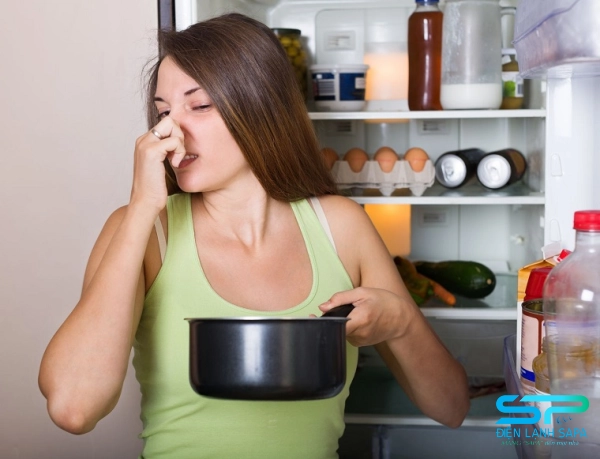 Thiếu gas làm ngăn mát, ngăn đá không đủ lạnh, thực phẩm nhanh hư hỏng, dễ sinh vi khuẩn