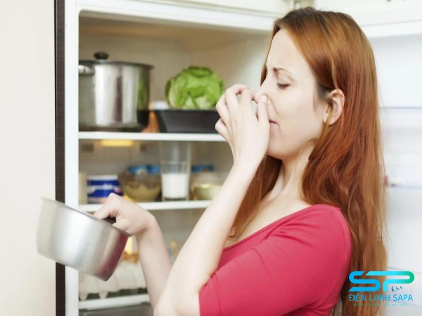Thiếu gas làm tủ lạnh kém lạnh, máy nén chạy liên tục, thực phẩm nhanh hỏng, tốn điện