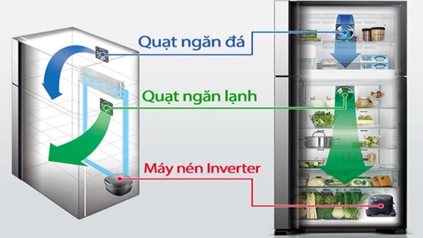 Tìm hiểu cấu tạo và nguyên lý hoạt động của tủ lạnh