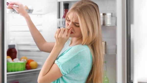 Khử mùi tủ lạnh tại nhà: Nhanh, tiết kiệm, hiệu quả