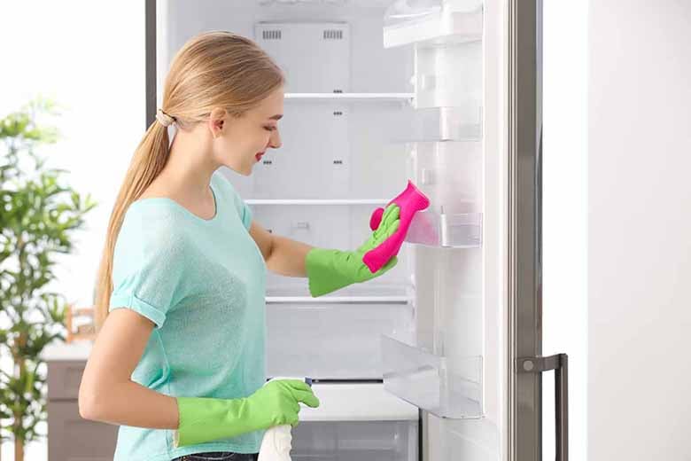 Có Nên Ngắt Nguồn Cho Tủ Lạnh Khi Không Sử Dụng Nhiều Ngày?