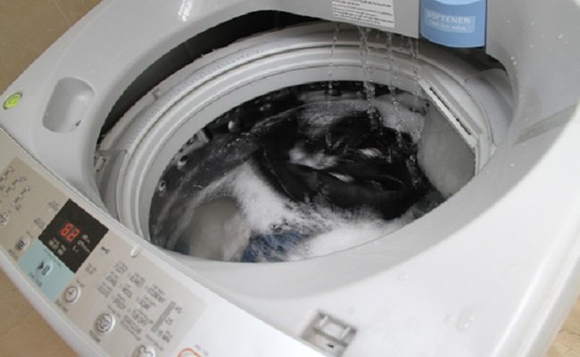 Máy Giặt Không Vắt Được- Nguyên Nhân và Cách Khắc Phục